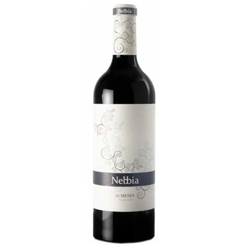 Nebbia 16 Meses